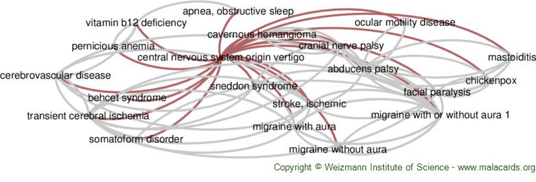 Diseases related to Central Nervous System Origin Vertigo