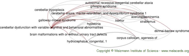 Diseases related to Cerebellar Dysfunction with Variable Cognitive and Behavioral Abnormalities