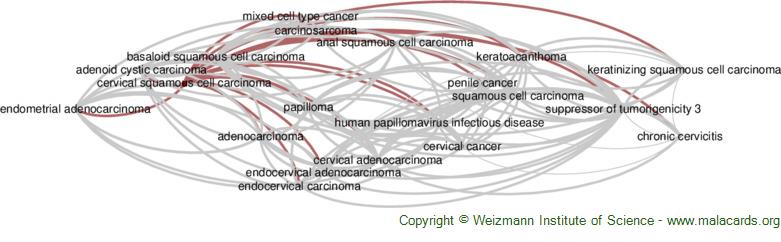 Diseases related to Cervical Squamous Cell Carcinoma