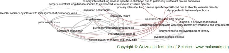 Diseases related to Children's Interstitial Lung Disease