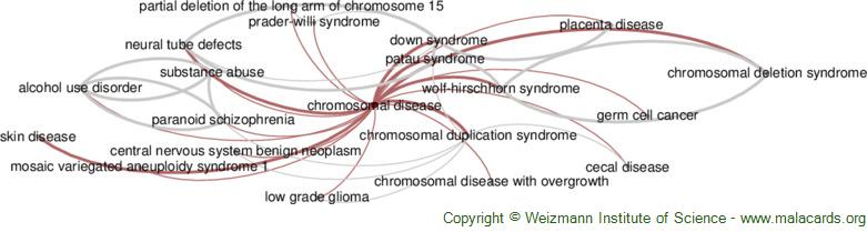 Diseases related to Chromosomal Disease