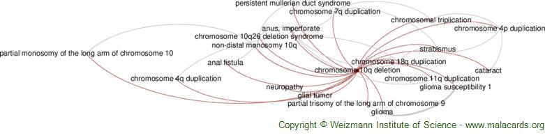 Chromosome 10q Deletion Disease Malacards Research Articles Drugs Genes Clinical Trials 3285