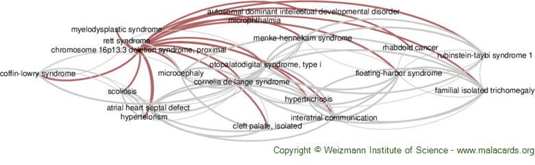 Diseases related to Chromosome 16p13.3 Deletion Syndrome, Proximal