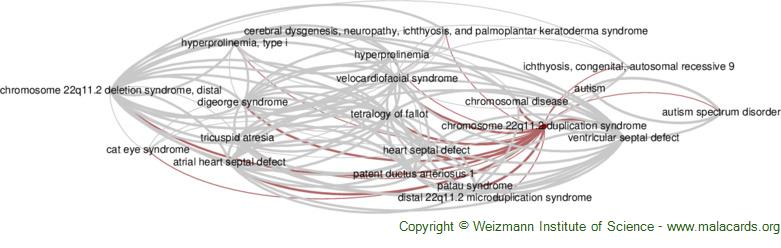 Diseases related to Chromosome 22q11.2 Duplication Syndrome