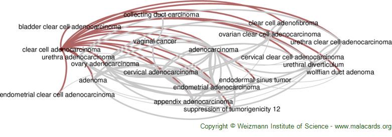Diseases related to Clear Cell Adenocarcinoma