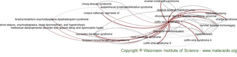 Diseases related to Coffin-Siris Syndrome 1