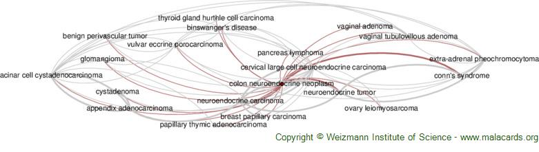 Diseases related to Colon Neuroendocrine Neoplasm