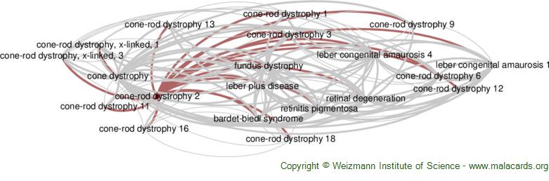 Diseases related to Cone-Rod Dystrophy 2