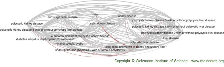 Diseases related to Congenital Anomalies of Kidney and Urinary Tract 1