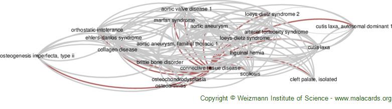 Diseases related to Connective Tissue Disease