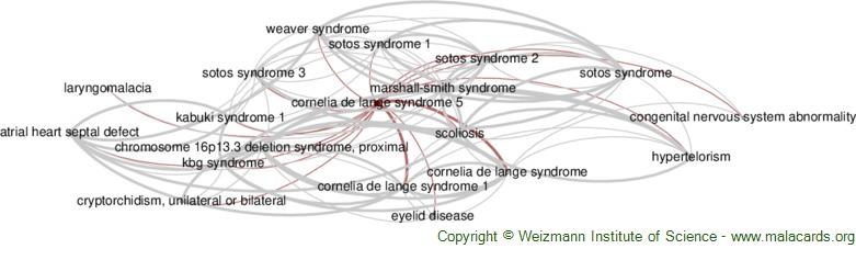 Diseases related to Cornelia De Lange Syndrome 5