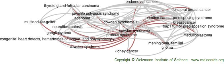 Diseases related to Cowden Syndrome