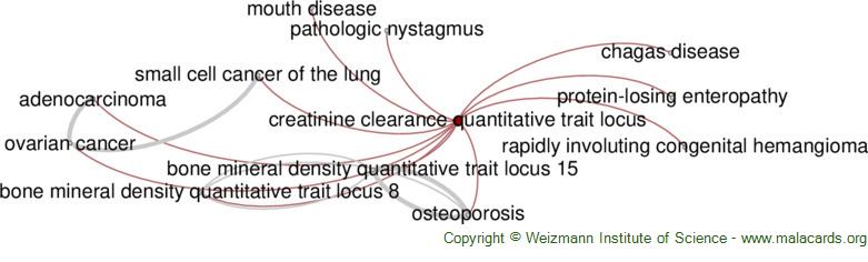 Diseases related to Creatinine Clearance Quantitative Trait Locus