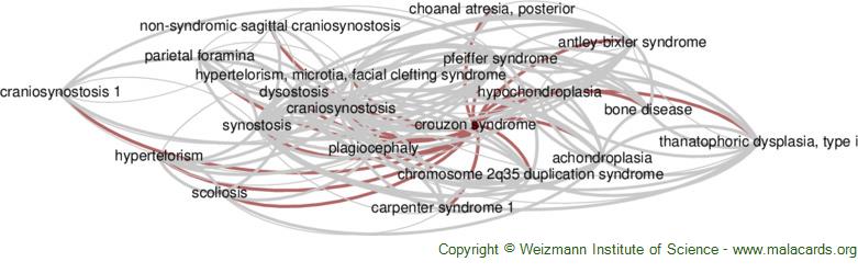 Diseases related to Crouzon Syndrome