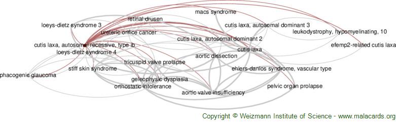 Diseases related to Cutis Laxa, Autosomal Recessive, Type Ib