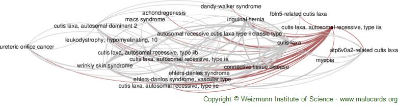 Diseases related to Cutis Laxa, Autosomal Recessive, Type Iia