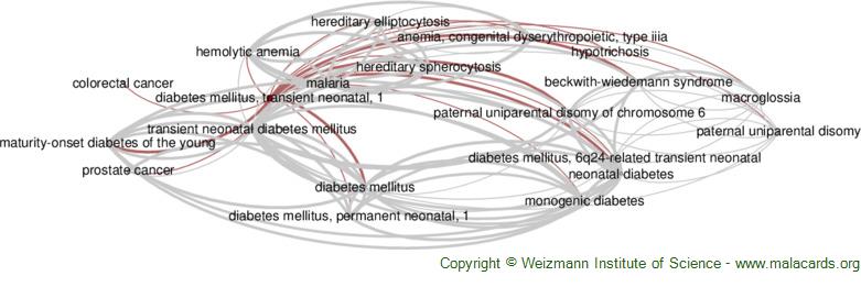 Diseases related to Diabetes Mellitus, Transient Neonatal, 1