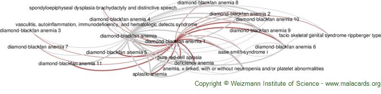 Diseases related to Diamond-Blackfan Anemia 1