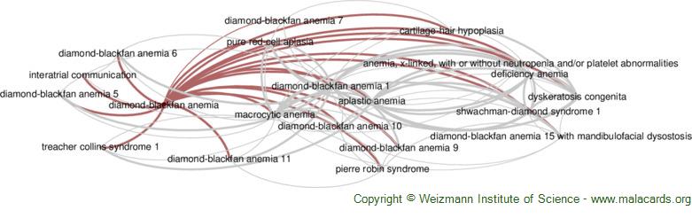 Diseases related to Diamond-Blackfan Anemia