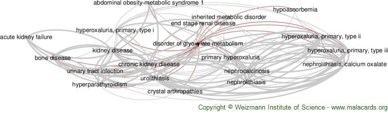 Diseases related to Disorder of Glyoxylate Metabolism