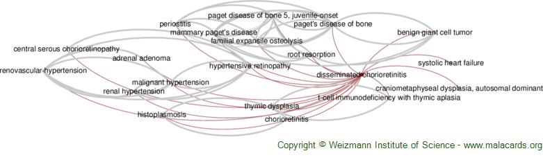 Diseases related to Disseminated Chorioretinitis