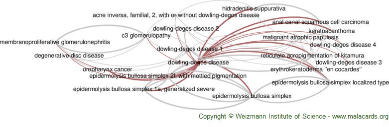 Diseases related to Dowling-Degos Disease