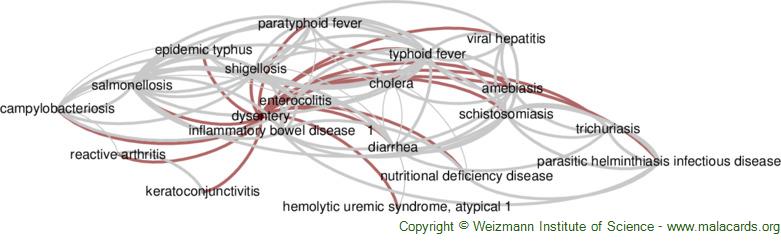 Diseases related to Dysentery