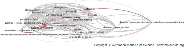 Diseases related to Dystonia 11, Myoclonic