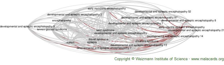 Diseases related to Early Infantile Epileptic Encephalopathy
