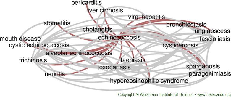 Diseases related to Echinococcosis