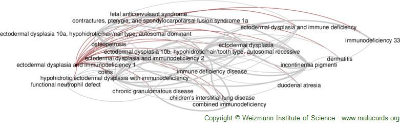 Diseases related to Ectodermal Dysplasia and Immunodeficiency 1