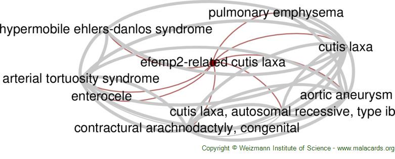 Diseases related to Efemp2-Related Cutis Laxa