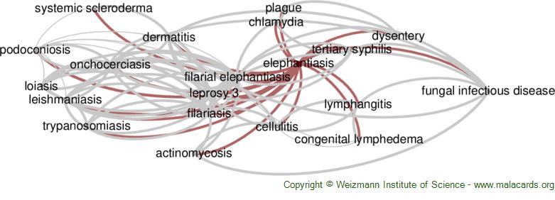 Diseases related to Elephantiasis