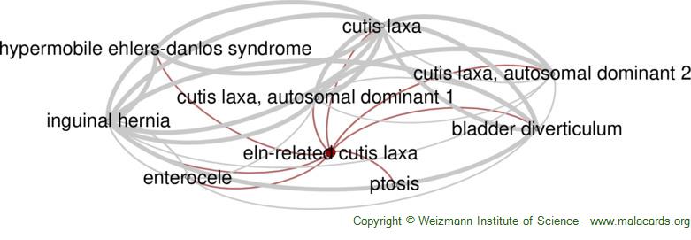 Diseases related to Eln-Related Cutis Laxa