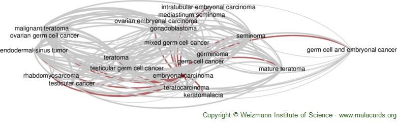 Diseases related to Embryonal Carcinoma