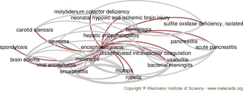 Diseases related to Encephalomalacia