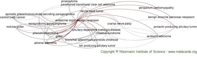 Diseases related to Endocrine Organ Benign Neoplasm