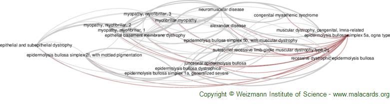 Diseases related to Epidermolysis Bullosa Simplex 5a, Ogna Type