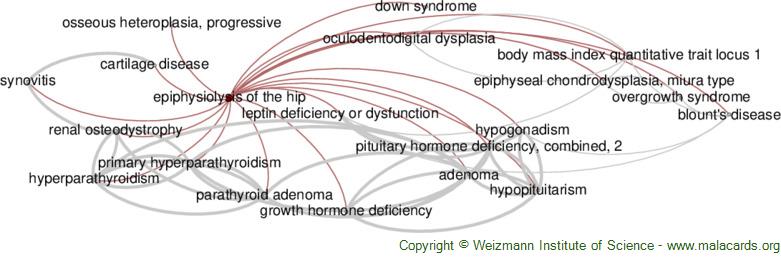 Diseases related to Epiphysiolysis of the Hip