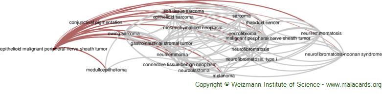 Diseases related to Epithelioid Malignant Peripheral Nerve Sheath Tumor