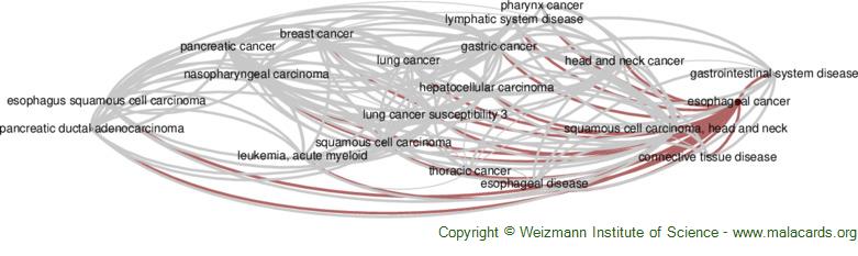 Diseases related to Esophageal Cancer