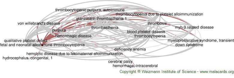 Diseases related to Fetal and Neonatal Alloimmune Thrombocytopenia