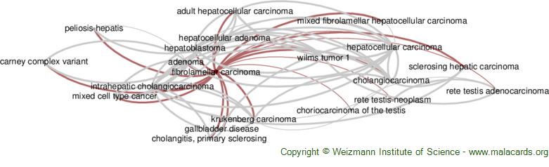 Diseases related to Fibrolamellar Carcinoma