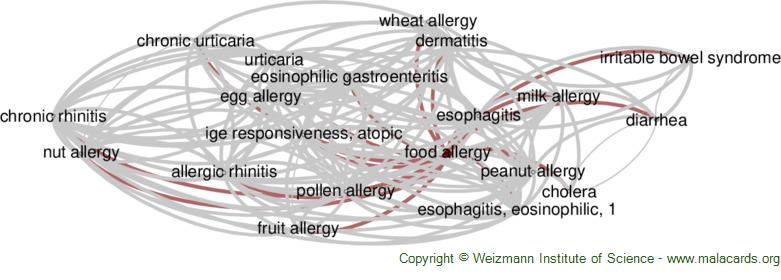 Diseases related to Food Allergy