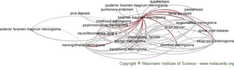 Diseases related to Foramen Magnum Meningioma