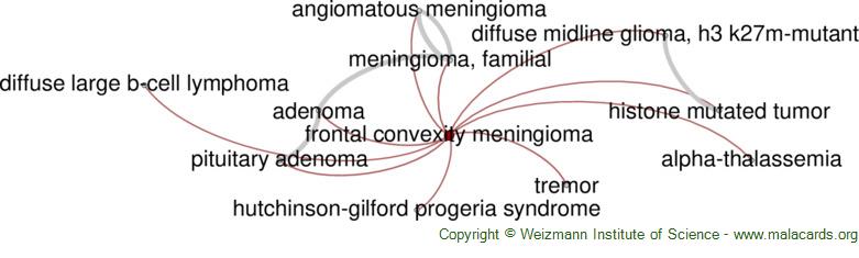 Diseases related to Frontal Convexity Meningioma
