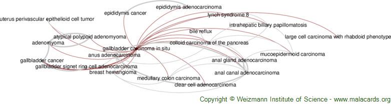 Diseases related to Gallbladder Carcinoma in Situ