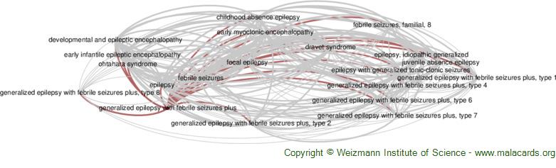 Diseases related to Generalized Epilepsy with Febrile Seizures Plus