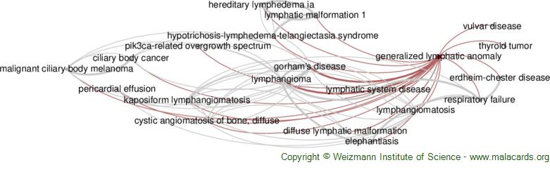 Diseases related to Generalized Lymphatic Anomaly