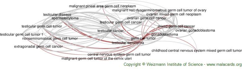 Diseases related to Germ Cell Tumor
